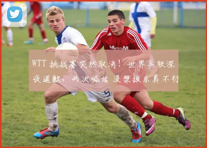 WTT 挑战赛突然取消！世界乒联深夜道歉，两次喊话 没樊振东真不行