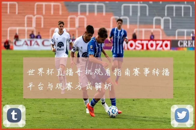 世界杯直播手机观看指南赛事转播平台与观赛方式解析