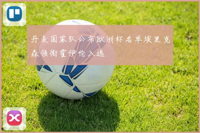 丹麦国家队公布欧洲杯名单埃里克森领衔霍伊伦入选