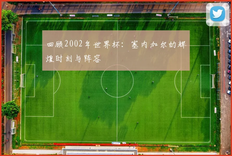 回顾2002年世界杯：塞内加尔的辉煌时刻与阵容