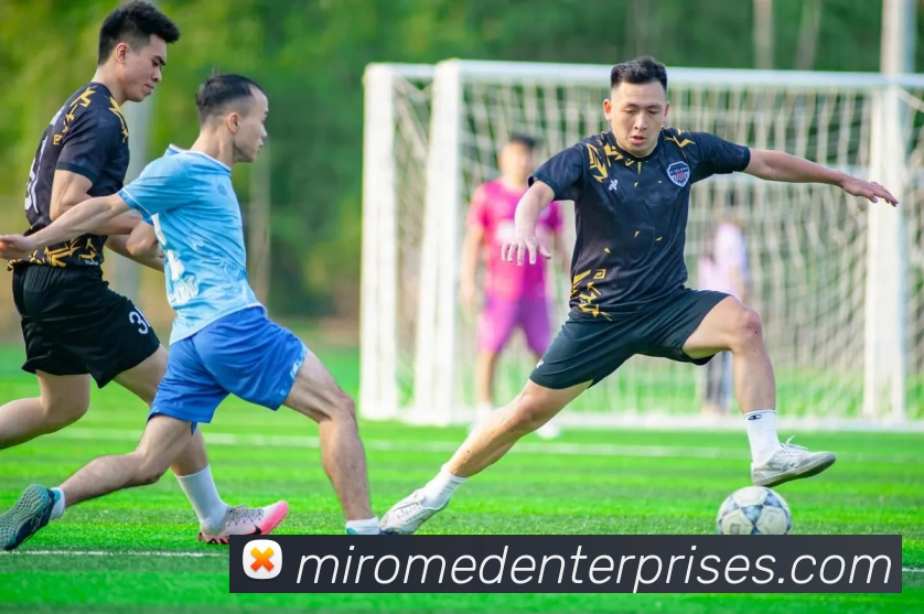 九游官网在线服务体系